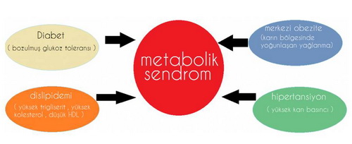 Metabolik Sendrom Tanı Kriterleri
